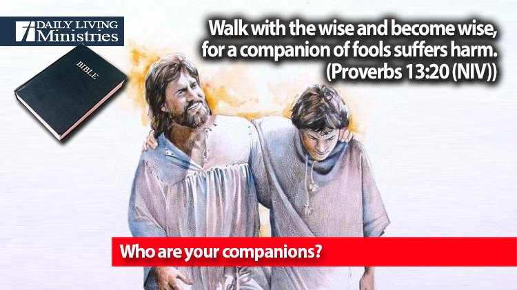 Who are your companions?