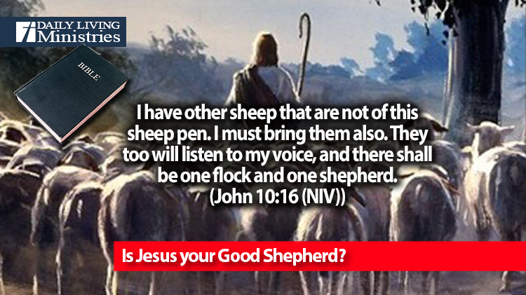 Is Jesus your Good Shepherd?