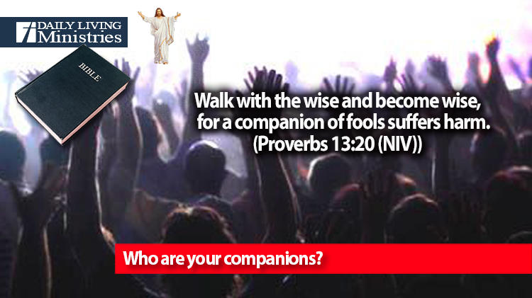 Who are your companions?