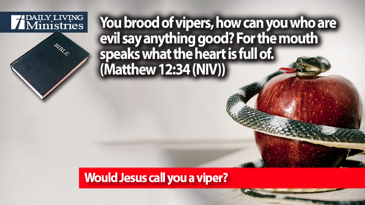 Would Jesus call you a viper?